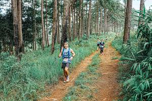 BIB: 
                            <button type="button" onclick="openModal(25681071)" class="btn btn-primary btn-sm float-right btn-popup" data-toggle="modal" data-target=".modal-high-quality">
                        <i class="fas fa-shopping-cart"></i> Add to Cart
                    </button>
                                            <button type="button" onclick="isThisMe(25681071, true)" class="btn btn-success btn-sm float-right btn-popup btn-isme hidden" data-toggle="tooltip" data-placement="bottom" title="นี่คือรูปของคุณใช่ไหม คลิกที่นี่เพื่อเอาเข้าอัลบั้ม">
                        <i class="fas fa-plus"></i> Add to album
                    </button>
                    <button type="button" onclick="isThisMe(25681071, false)" class="btn btn-warning btn-sm float-right btn-popup btn-isnotme hidden">
                        <i class="fas fa-ban"></i> Remove from album
                    </button>